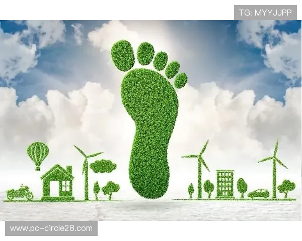 绿色体育实践推广，可持续发展路径清晰